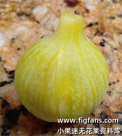 485795192_623713507229586_1892856040534205218_n.jpg 485795192_623713507229586_1892856040534205218_n.jpg