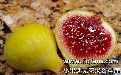 486488942_623713470562923_3447471114416718941_n (1).jpg 486488942_623713470562923_3447471114416718941_n (1).jpg