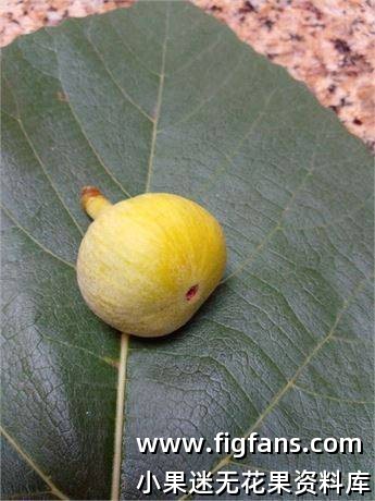 486083820_623713487229588_283073976220940911_n (1).jpg 486083820_623713487229588_283073976220940911_n (1).jpg