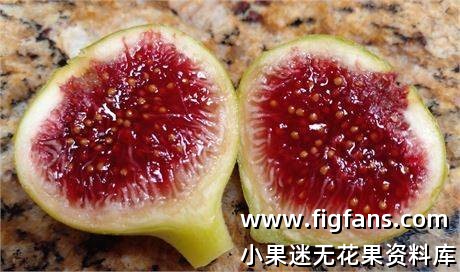 486691771_623713553896248_8929178682231042419_n.jpg 486691771_623713553896248_8929178682231042419_n.jpg