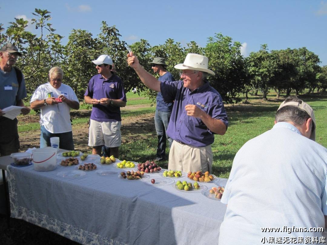 LSU field day 2015.jpg