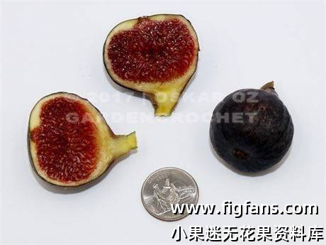 3b159e86-44f9-46e6-92a3-a0e1387f4cc8_fullsize.jpg