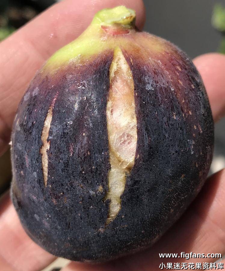 3B3D3A5D-7D20-4001-B736-3D431F01D6E6.jpeg 3B3D3A5D-7D20-4001-B736-3D431F01D6E6.jpeg