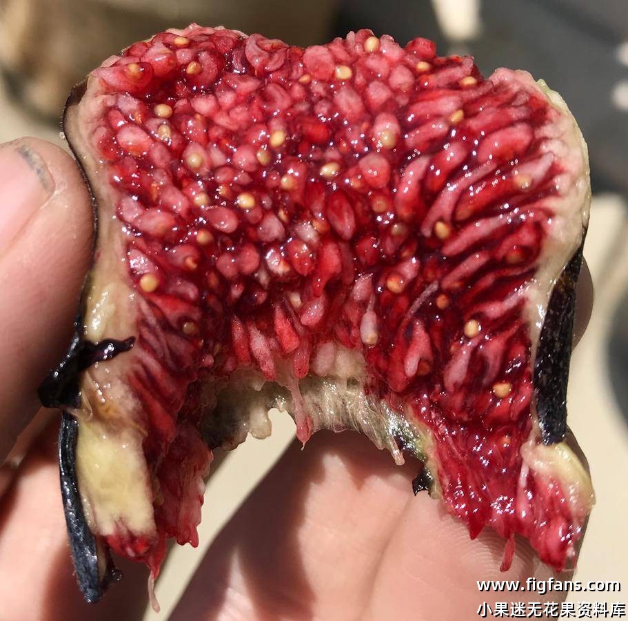 9B154551-AF4F-4BC9-869C-36E8E1521DB4.jpeg 9B154551-AF4F-4BC9-869C-36E8E1521DB4.jpeg