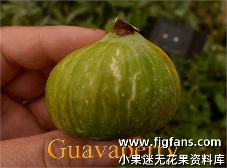 d8bb42ec-9542-4843-9cb8-21a0f02919fe_fullsize.jpg