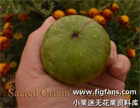 e2b10506-1c37-4a80-b219-6d4c05839dde_fullsize.jpg