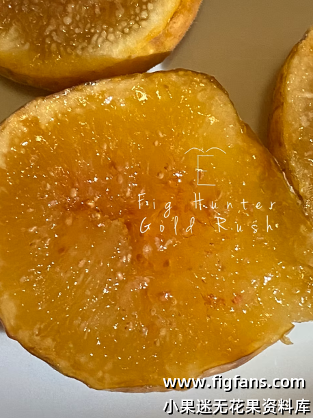 微信图片_20250415120347.png