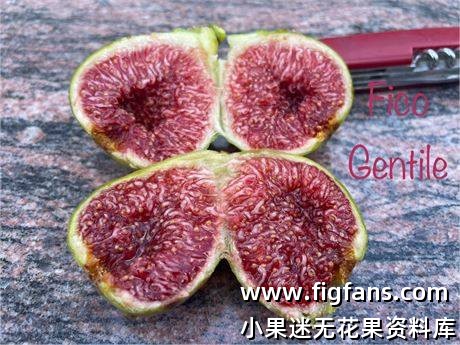 c63dd1ae-3a10-43f1-b45b-589e7c6e3d91_fullsize.jpg
