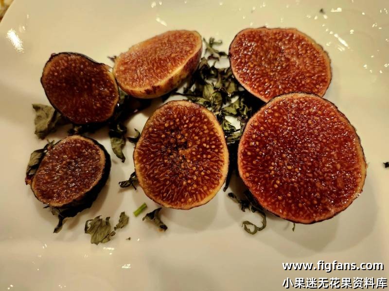 ENC Delight (Eleanor & Clyde's Delight)  埃莉诺和克莱德的喜悦-小果迷