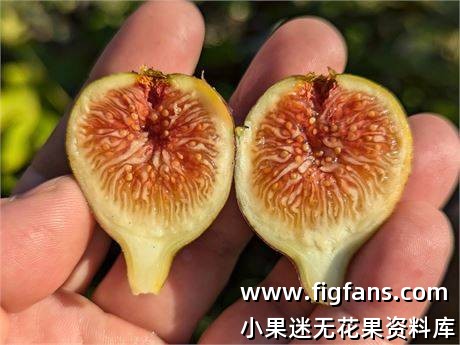 f970e2e1-9253-4753-9dac-cf1b87dfce52_fullsize.jpg