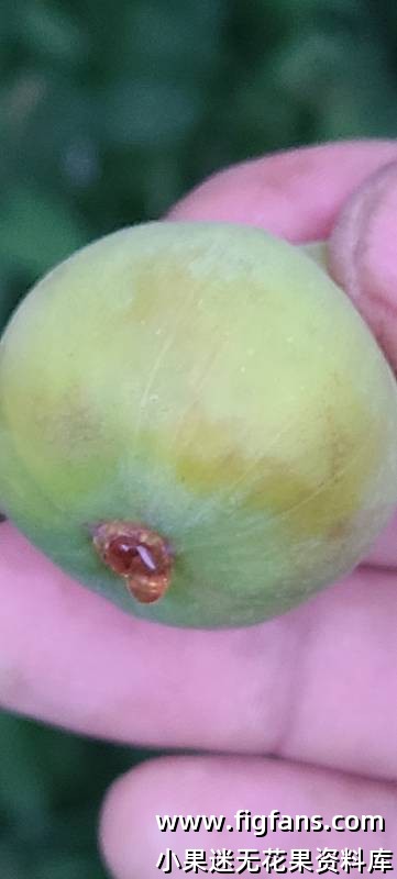 2024-08-25 19.46.37.jpg