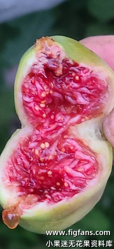 2024-08-25 19.46.56.jpg