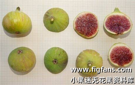 9deb6348-60cd-4ff8-afc9-1a82cfa58543_fullsize.jpg