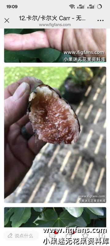 1000038518.jpg 1000038518.jpg