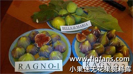 398408ec-549b-4ed3-b840-ce0e765c2366_fullsize.jpg