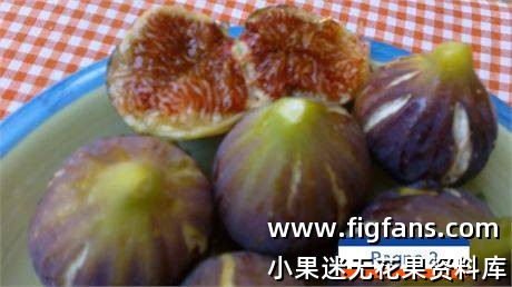 f15c626a-777c-46e6-9704-04b34fc7a5c6_fullsize.jpg