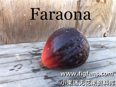 27996be7-e9e8-44fc-8f40-1dc558b5b6a3_fullsize.jpg