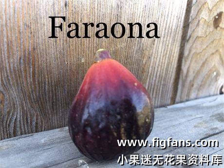 d45c90eb-9b6e-4ea2-8271-7efd89261da6_fullsize.jpg