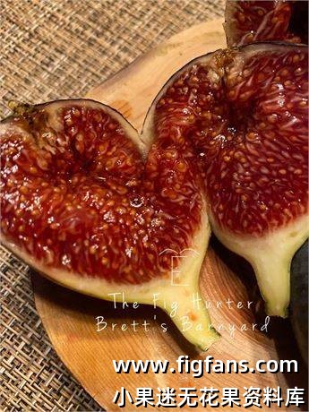 5b368143-ffbc-4413-a027-464996a3f5f9_fullsize (1).jpg