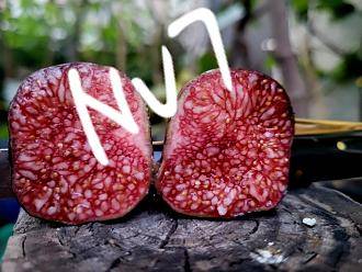 20230527_201513 (1).jpg