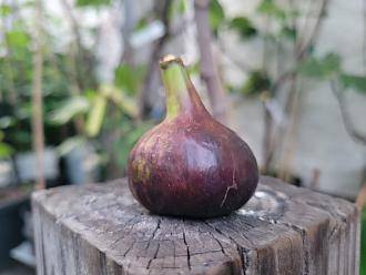 20230527_201129 (1).jpg