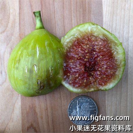 49.林德赫斯特白 Lyndhurst White（Achilles Feigen)-小果迷