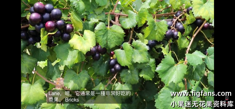 IMG_4613.png