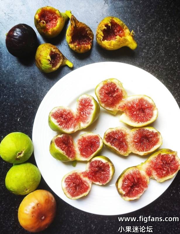 求购高品-小果迷