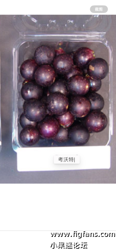 IMG_2364.png