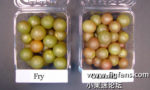 IMG_4832.png