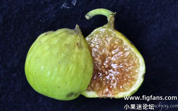 微信图片_20250522214420.png