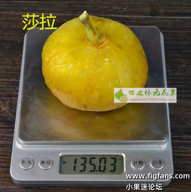 微信图片_20250528133400.png