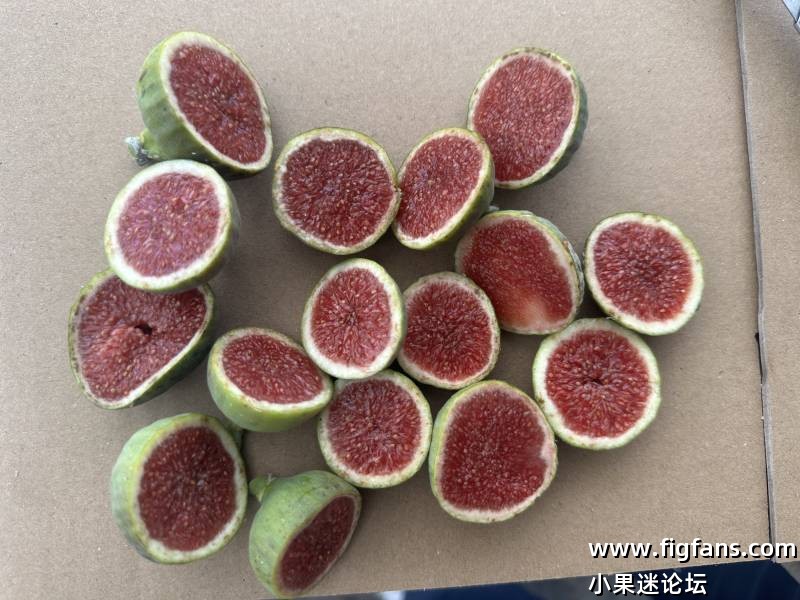 微信图片_20250604132233.jpg