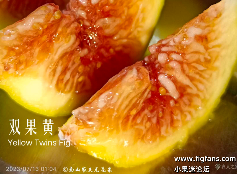 微信图片_20250605094717.png
