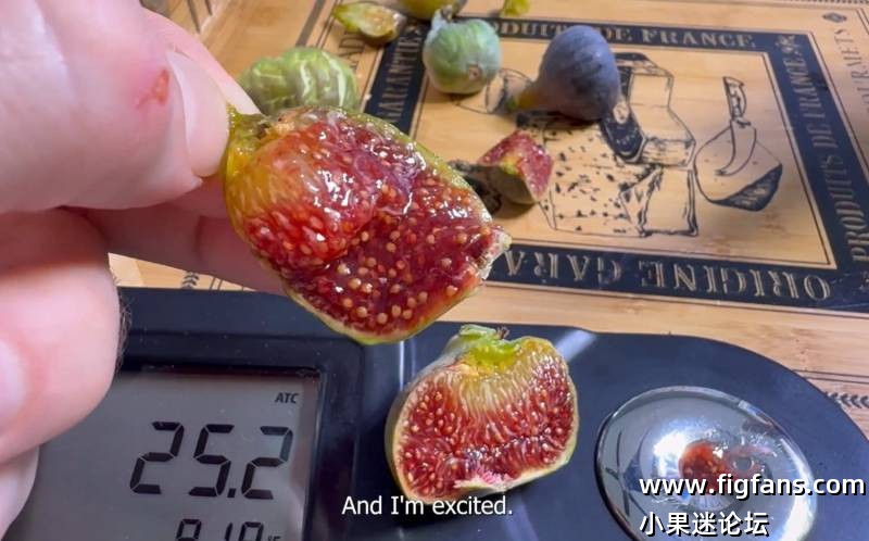 1000040408.jpg