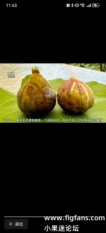Screenshot_20250614_234321_com.ss.android.article.news.jpg