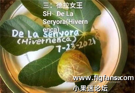 Camera_XHS_17499164797011040g00831argvt0e725g5na7om8kdufsbqq0tg8.jpg