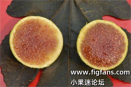 39686ccf-6950-49db-8387-97edc12ef669_fullsize.jpg