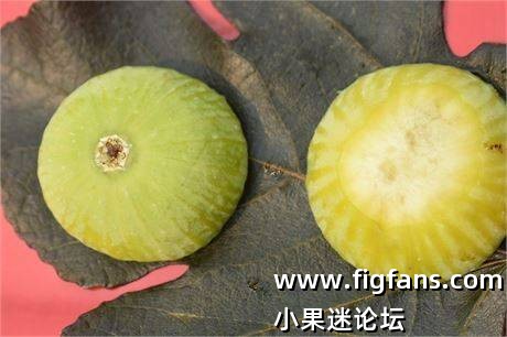 e4ddea78-faef-4962-b266-7c9caec67ee9_fullsize.jpg