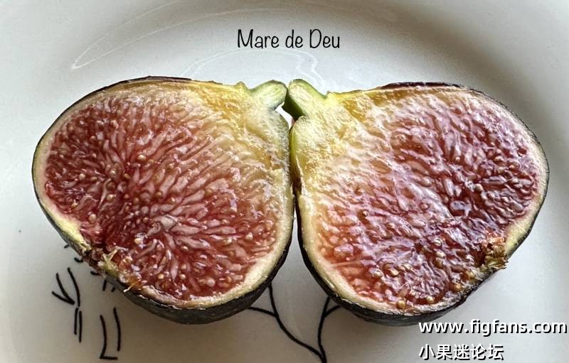 AB4EFE03-4F94-4F0C-8F72-42E0DDD7042A.jpg