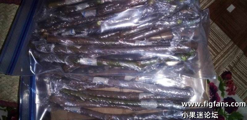 1000041736.jpg 1000041736.jpg