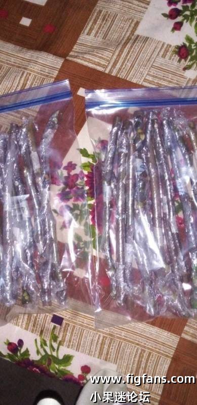 1000041736.jpg 1000041736.jpg