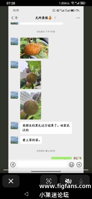 Screenshot_20250701_072854_com.ss.android.ugc.aweme.lite.jpg