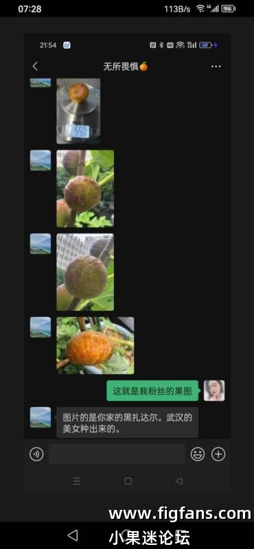 Screenshot_20250701_072846_com.ss.android.ugc.aweme.lite.jpg