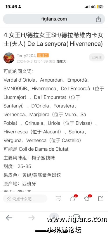 求购 德拉女王和歌莉娅-小果迷