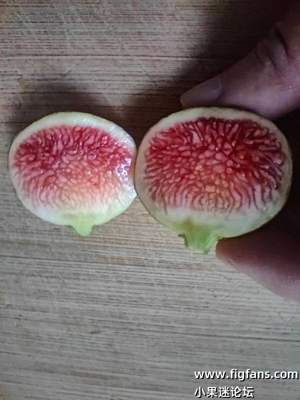 微信图片_20250719132733.jpg