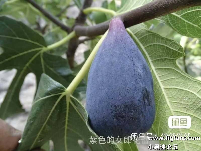 微信图片_20250801073814.jpg