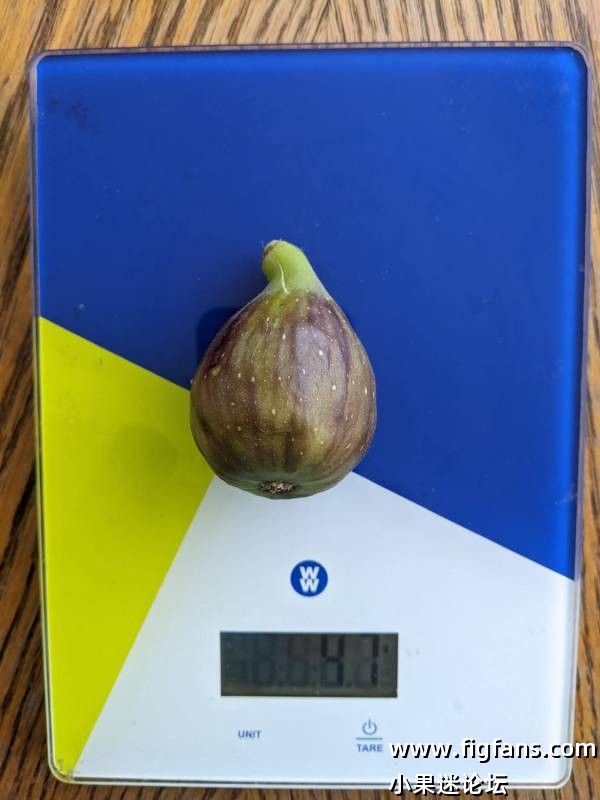 1000043253.jpg