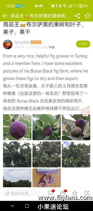 Screenshot_20250810_131520_com.figfans.app.jpg
