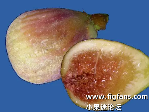 微信图片_20250814121134.png